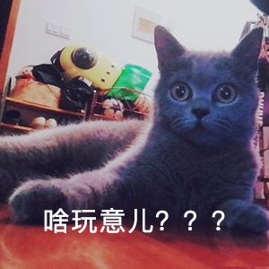 DƬ